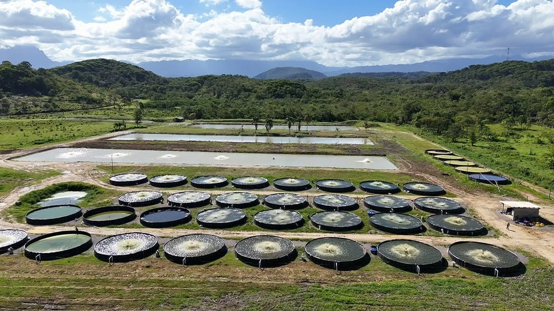 Tanque de geomembrana elevado da Cooper AllFish